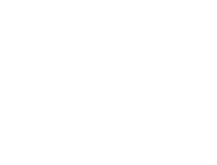 IGR Projects Management